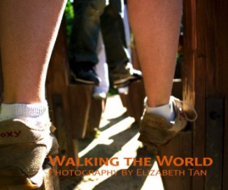 Walking the World book cover