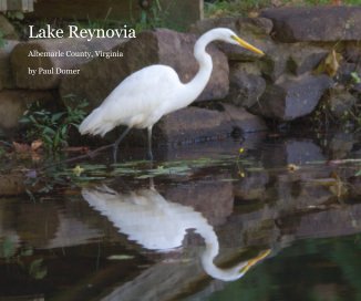 Lake Reynovia book cover