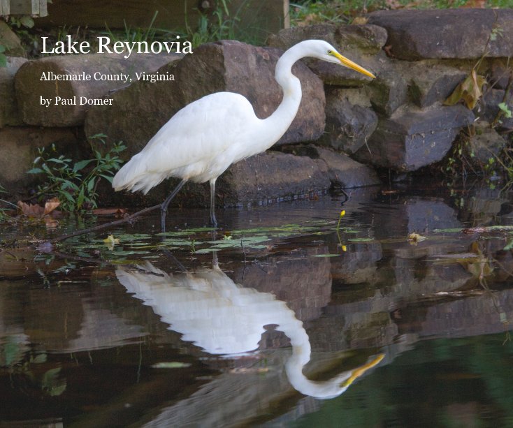 View Lake Reynovia by Paul Domer