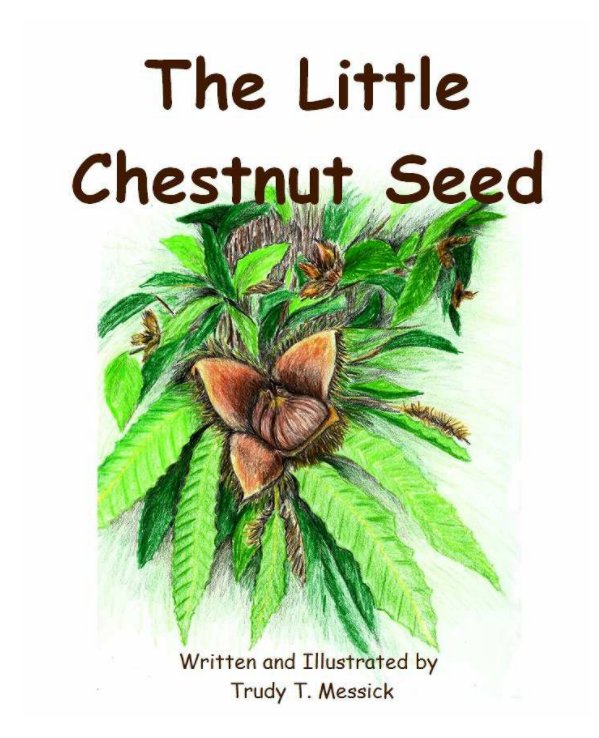 View The Little Chestnut Seed by Trudy T. Messick
