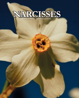Narcisses book cover