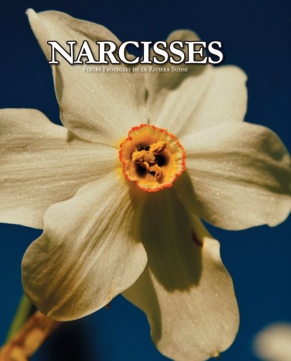 View Narcisses by Alexandre Guidetti