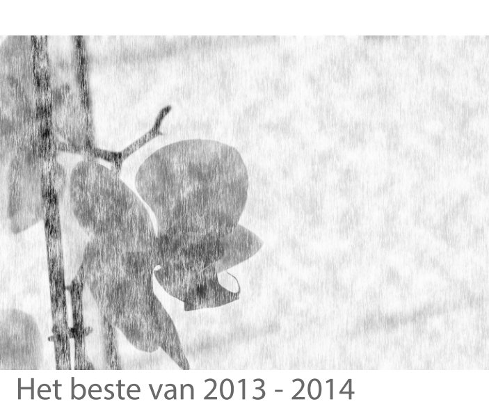 Visualizza Best of 2014 di Ruben Coppens