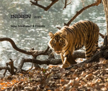 Indien 2015 book cover