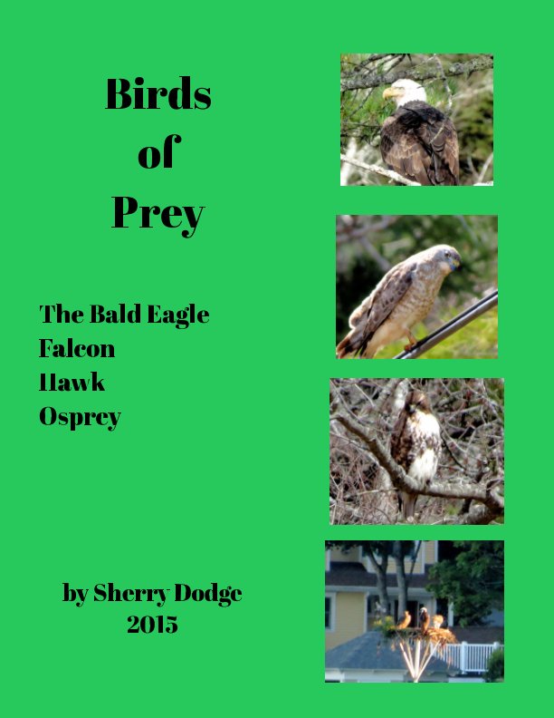 Birds of Prey nach Sherry Dodge anzeigen
