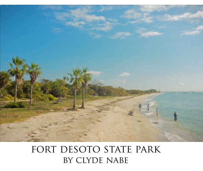 View Fort Desoto State Park by Clyde Nabe