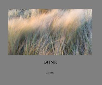 DUNE book cover