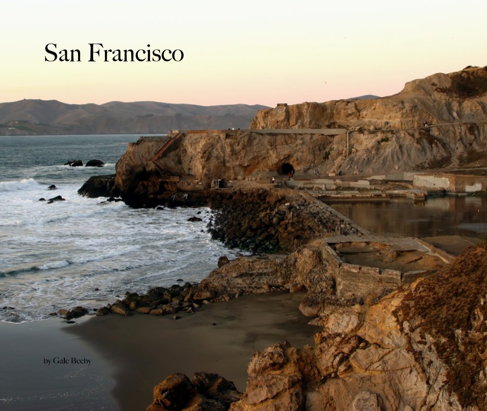 View San Francisco by Gale Beeby