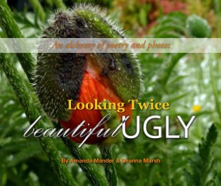 Looking Twice: Beautiful Ugly book cover