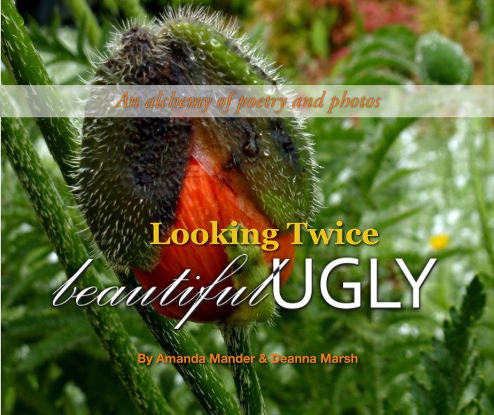 Ver Looking Twice: Beautiful Ugly por Amanda Mander & Deanna Marsh