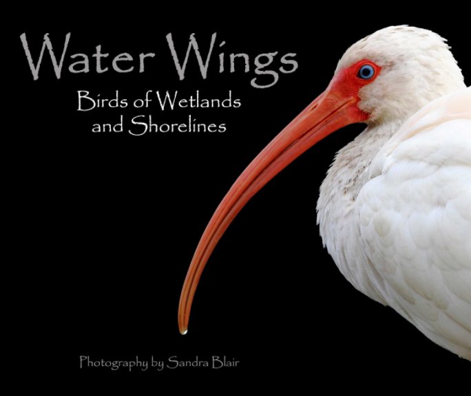 Bekijk Water Wings op Sandra Blair