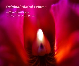 Original Digital Prints: book cover