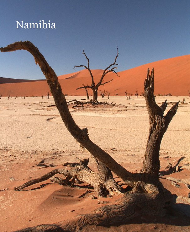 View Namibia by Ermie