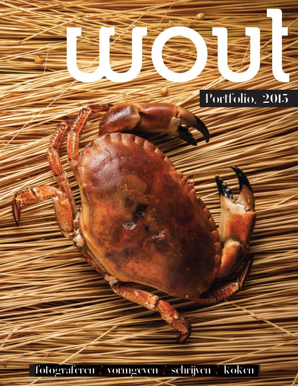 Bekijk WOUT - Portfolio, 2015 op Wouter Weststrate