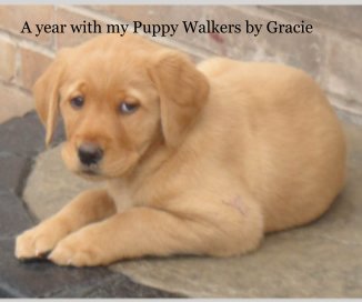 A year with my Puppy Walkers by Gracie book cover