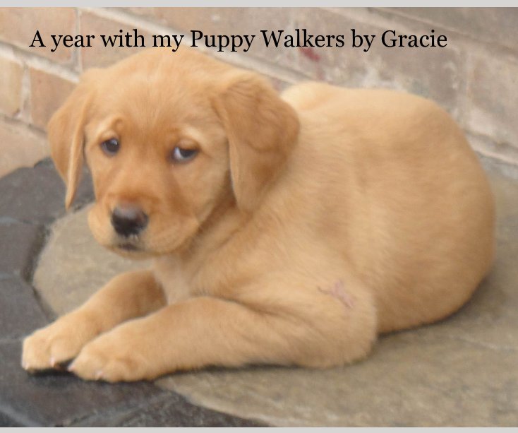 Bekijk A year with my Puppy Walkers by Gracie op Margaret Pollock