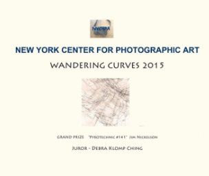 WANDERING CURVES 2015 book cover