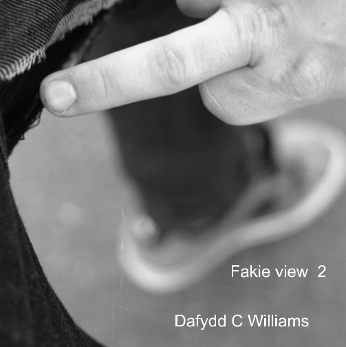 View Fakie View 2 by Dafydd C Williams