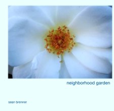 neighborhood garden book cover