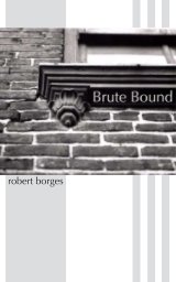 Brute Bound book cover