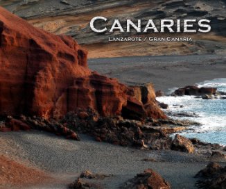 Canaries book cover