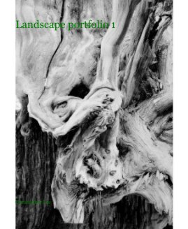 Landscape portfolio 1 book cover