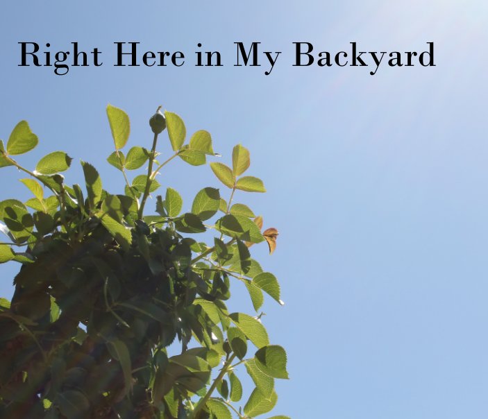 Ver Right Here in My Backyard por Matthew Kozal