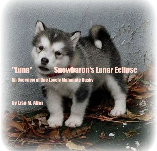View "Luna" Snowbaron's Lunar Eclipse by Lise M. Allin