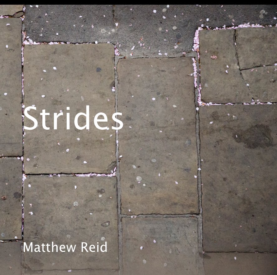 View Strides by Matthew Reid