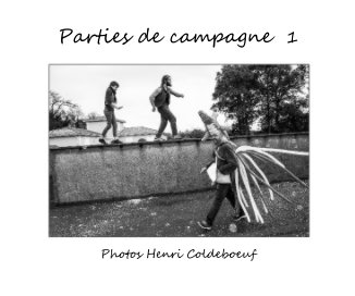 Parties de campagne 1 book cover