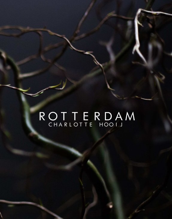 View Rotterdam by Charlotte Hooij