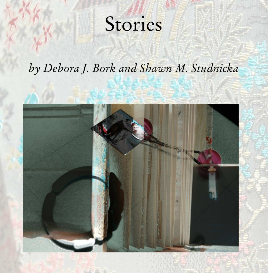 Ver Stories por Debora J. Bork, Shawn M. Studnicka