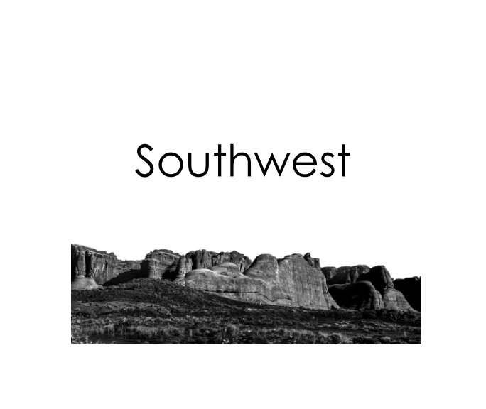 View Southwest (Softbound) by Steven K. Homer