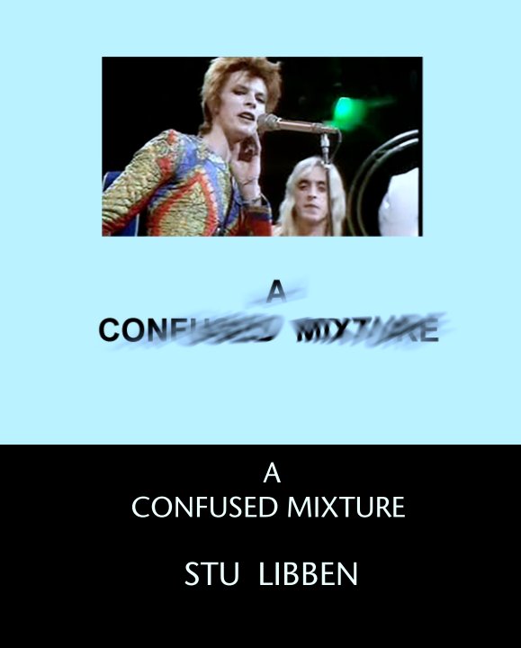 View A CONFUSED MIXTURE by STU  LIBBEN