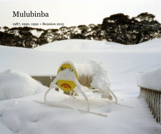 Mulubinba book cover