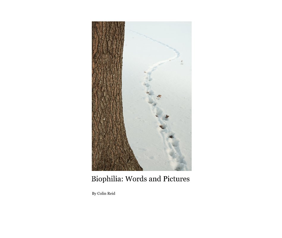 View Biophilia: Words and Pictures By Colin Reid by Colin Reid