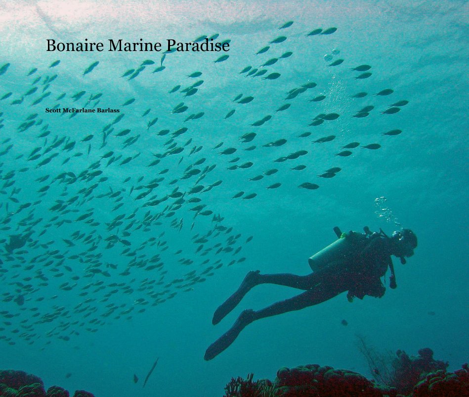 View Bonaire Marine Paradise by Scott McFarlane Barlass