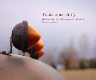 Transitions 2015 book cover