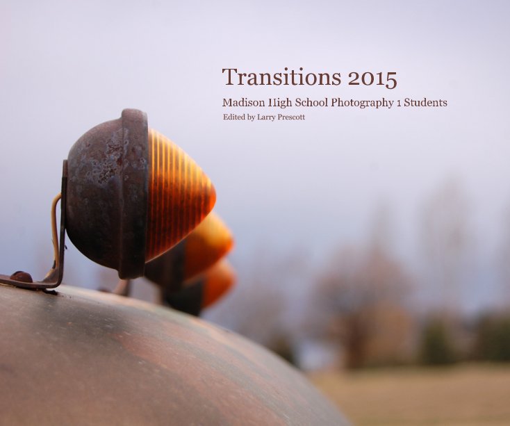 View Transitions 2015 by Edited by Larry Prescott