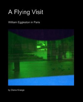 A Flying Visit book cover