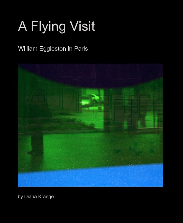 View A Flying Visit by Diana Kraege