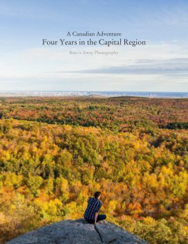 Four Years in the Capital Region book cover