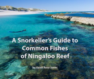 A Snorkeller's Guide to Common Fishes of Ningaloo Reef book cover