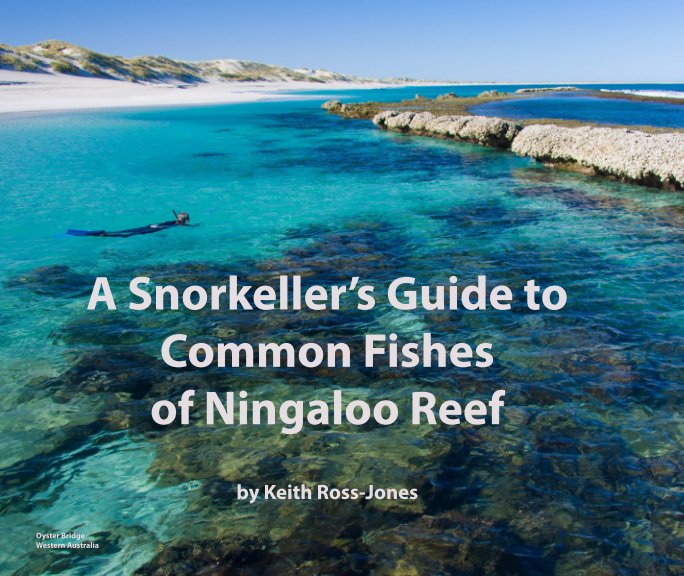 View A Snorkeller's Guide to Common Fishes of Ningaloo Reef by Keith Ross-Jones