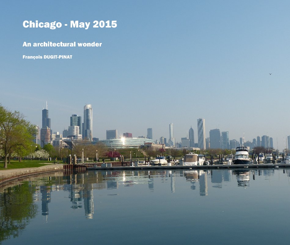View Chicago - May 2015 by François DUGIT-PINAT