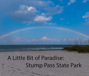 A Little Bit of Paradise book cover
