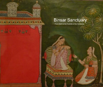 Binsar Sanctuary book cover