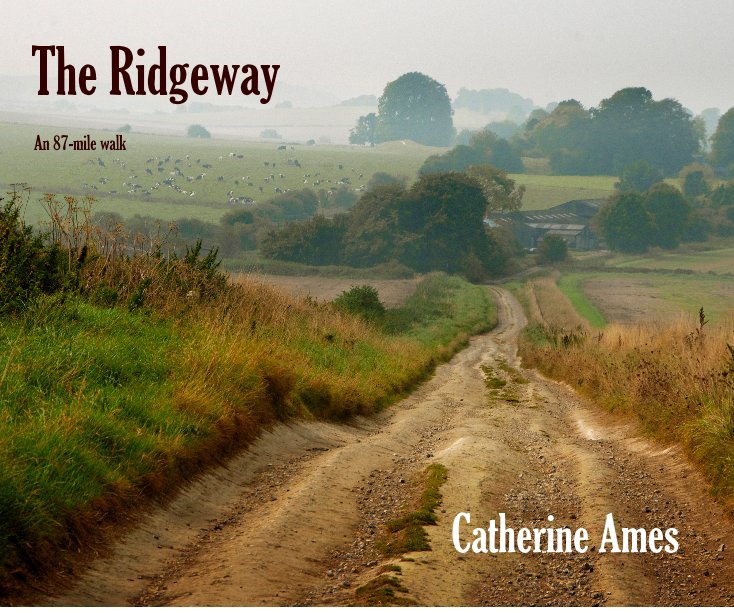 View The Ridgeway by Catherine Ames