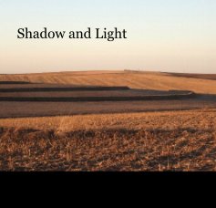 Shadow and Light book cover