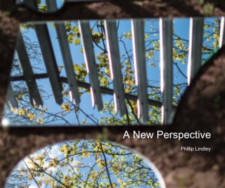 A New Perspective book cover
